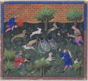 Book of the Hunt ferreting