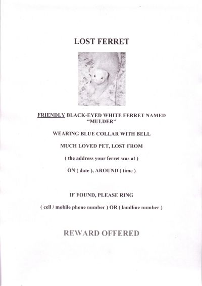 Missing ferret 2024