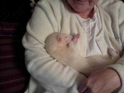 Asleep in Mama's Arms
