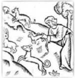 medieval ferreter